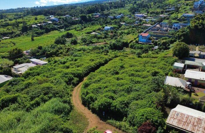 Terrain avec vue mer – La Saline les Hauts : 4 500 m² construtible — photo 5