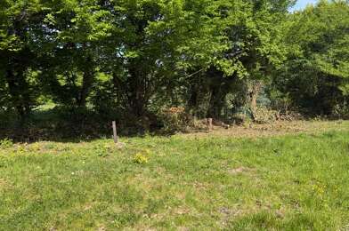 Terrain  117500 €