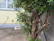 Maison — photo 3
