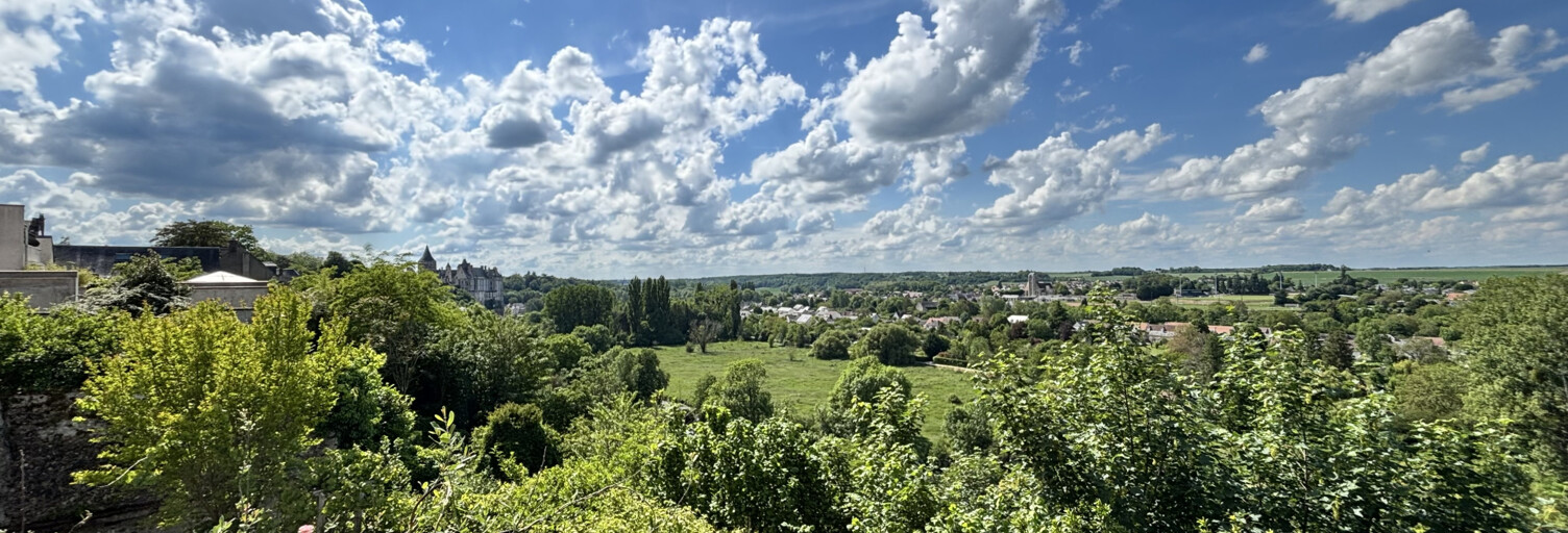Maison 8 Pièces 230 m² à vendre à Châteaudun (28200)