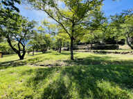 Noveauté sur la commune de SOSPEL à Proximité du Village - C — photo 4