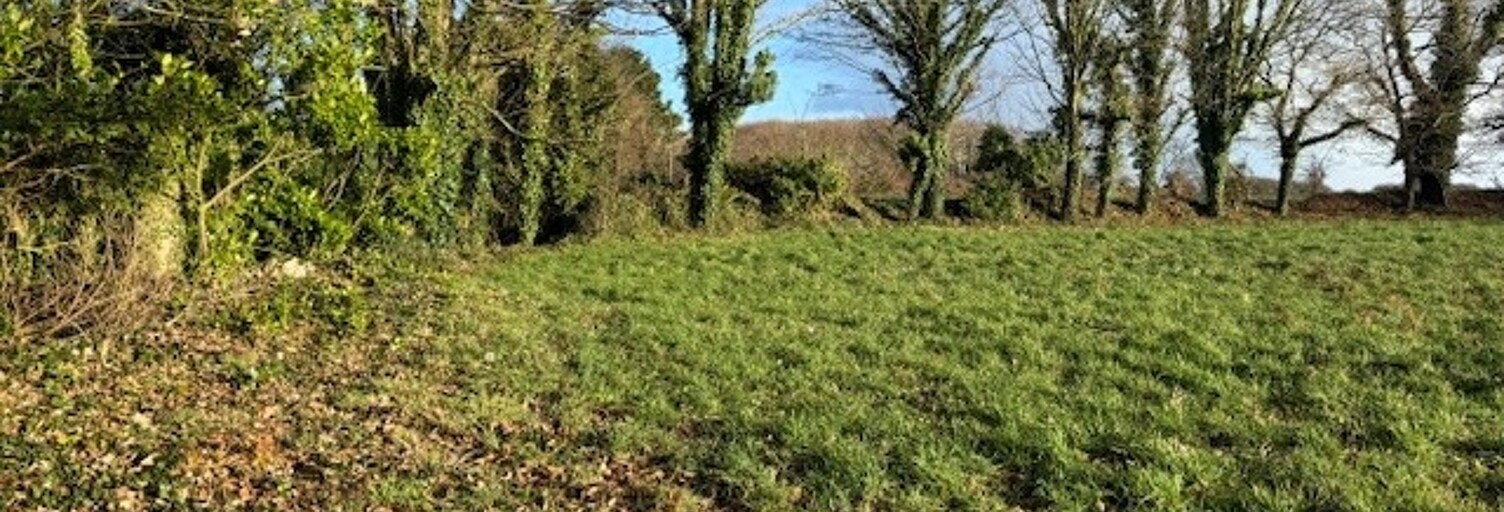 Terrain  850 m² à vendre à Plouhinec (29780)