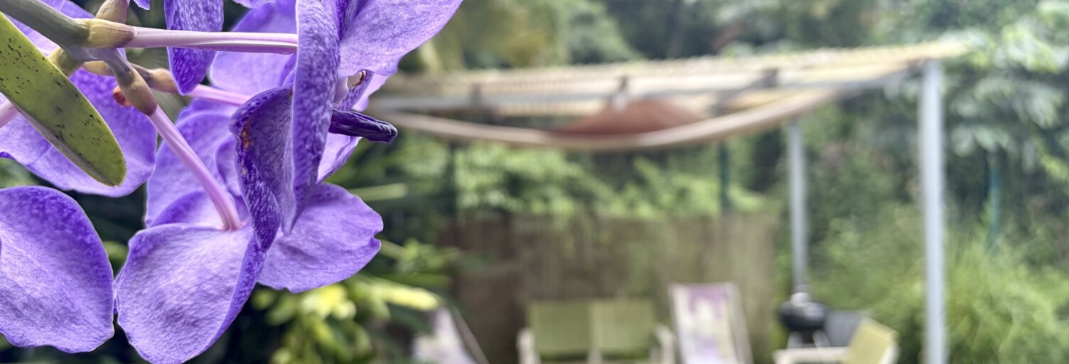 Photo N° 2