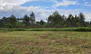 Terrain 518 m² à construire Parentis-en-Born (40160)