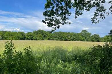 Terrain  175000 €