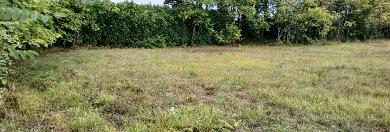 Terrain  1800 m² à vendre à Montagrier (24350)