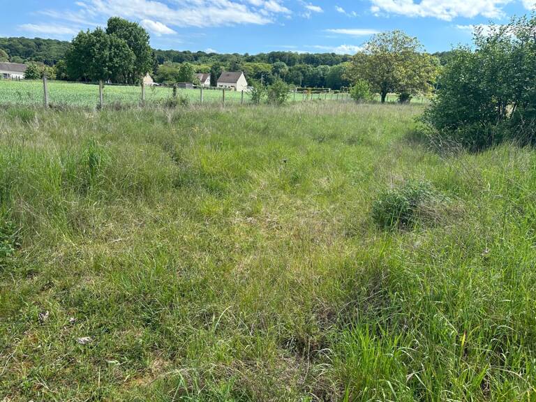 TERRAIN 1 006 M² – BORNÉ – VIABILISÉ POUR LA VENTE – CUTS (60) — photo 1