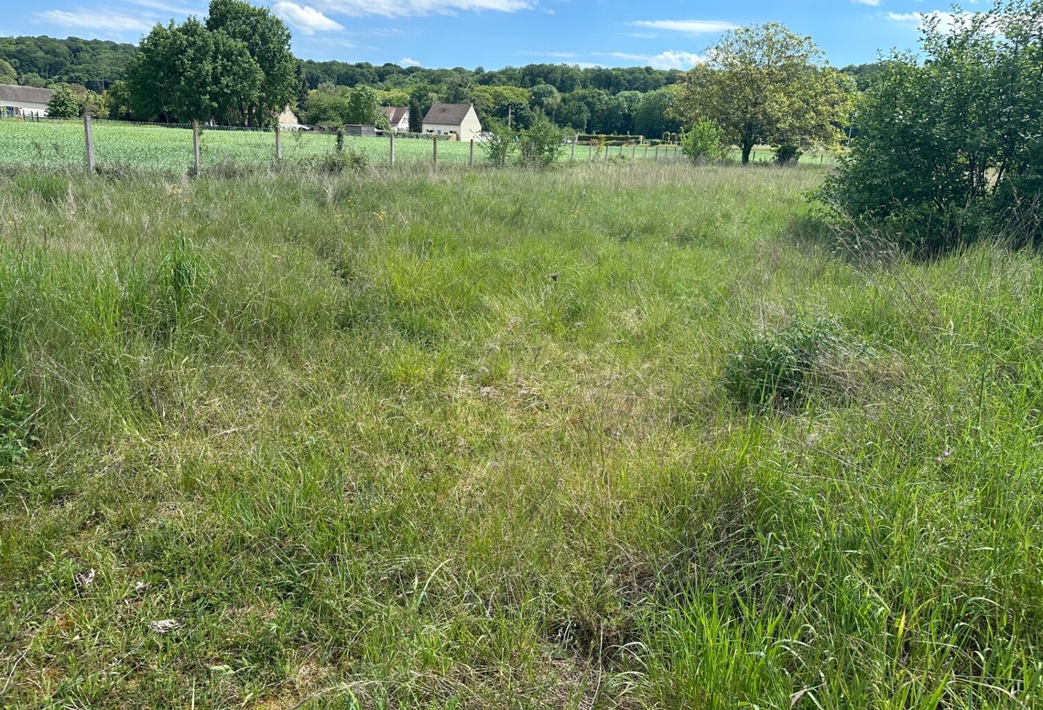 TERRAIN 1 006 M² – BORNÉ – VIABILISÉ POUR LA VENTE – CUTS (60) — photo 1
