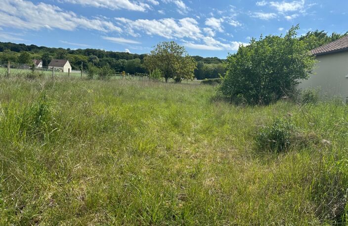 TERRAIN 1 006 M² – BORNÉ – VIABILISÉ POUR LA VENTE – CUTS (60) — photo 3