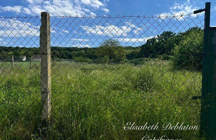 TERRAIN 1 006 M² – BORNÉ – VIABILISÉ POUR LA VENTE – CUTS (60) — photo 5