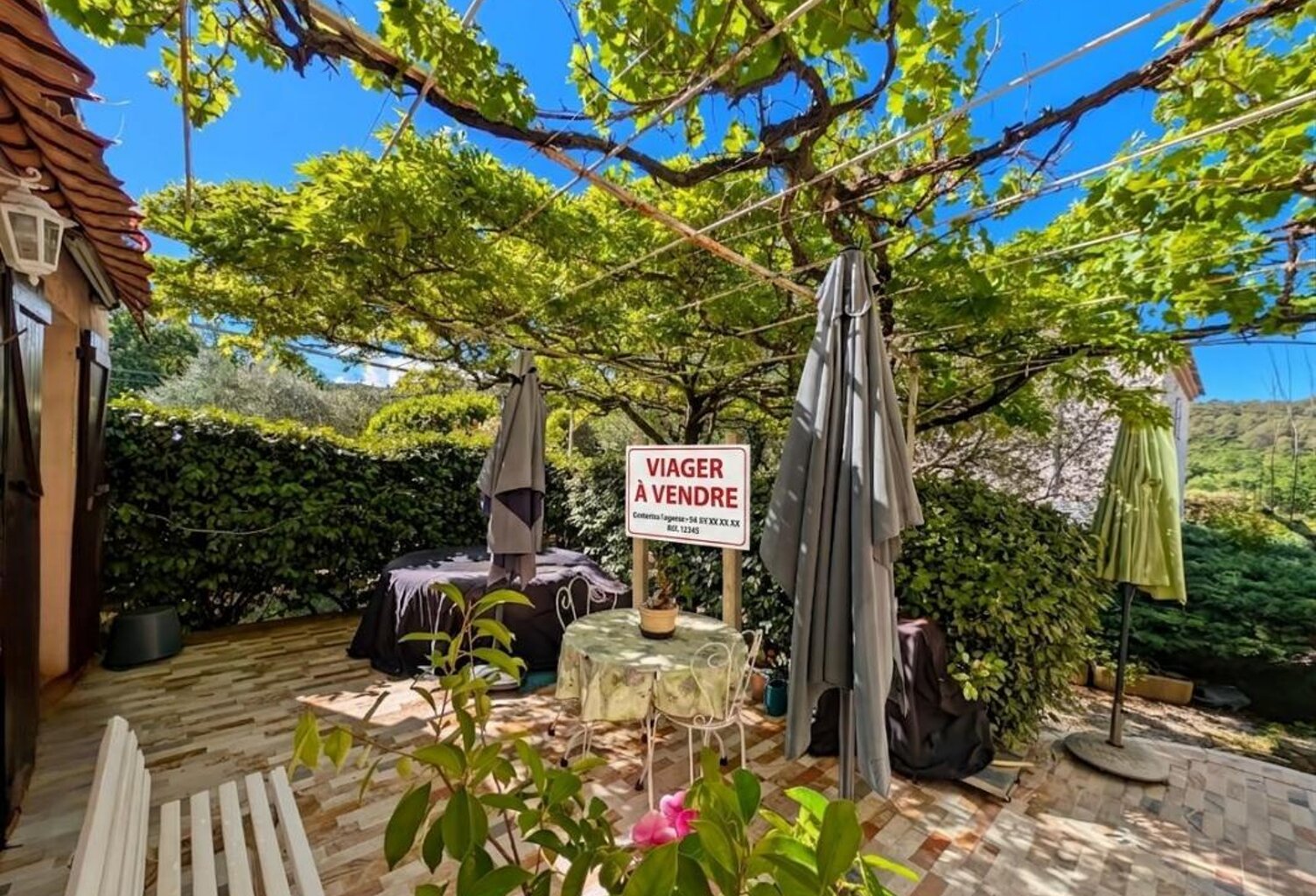 VIAGER OCCUPÉ A VENDRE ROCBARON — photo 1
