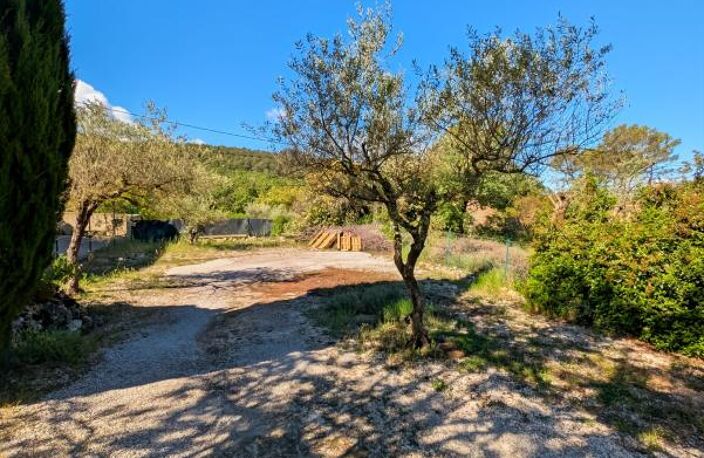 VIAGER OCCUPÉ A VENDRE ROCBARON — photo 3