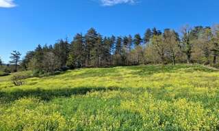 Terrain  3200 m² à vendre à Pont-de-Larn (81660)
