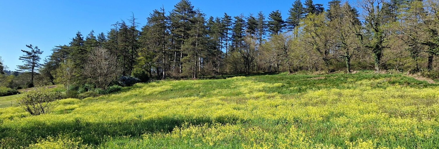 Terrain  3200 m² à vendre à Pont-de-Larn (81660)