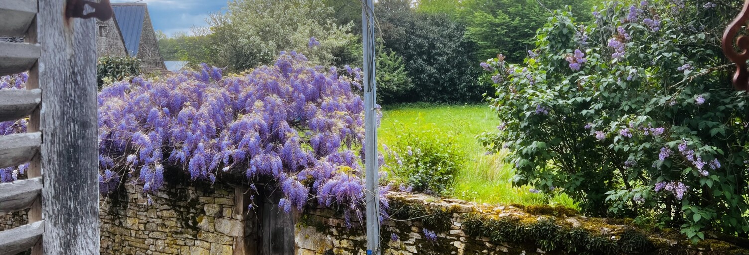 Photo N° 2