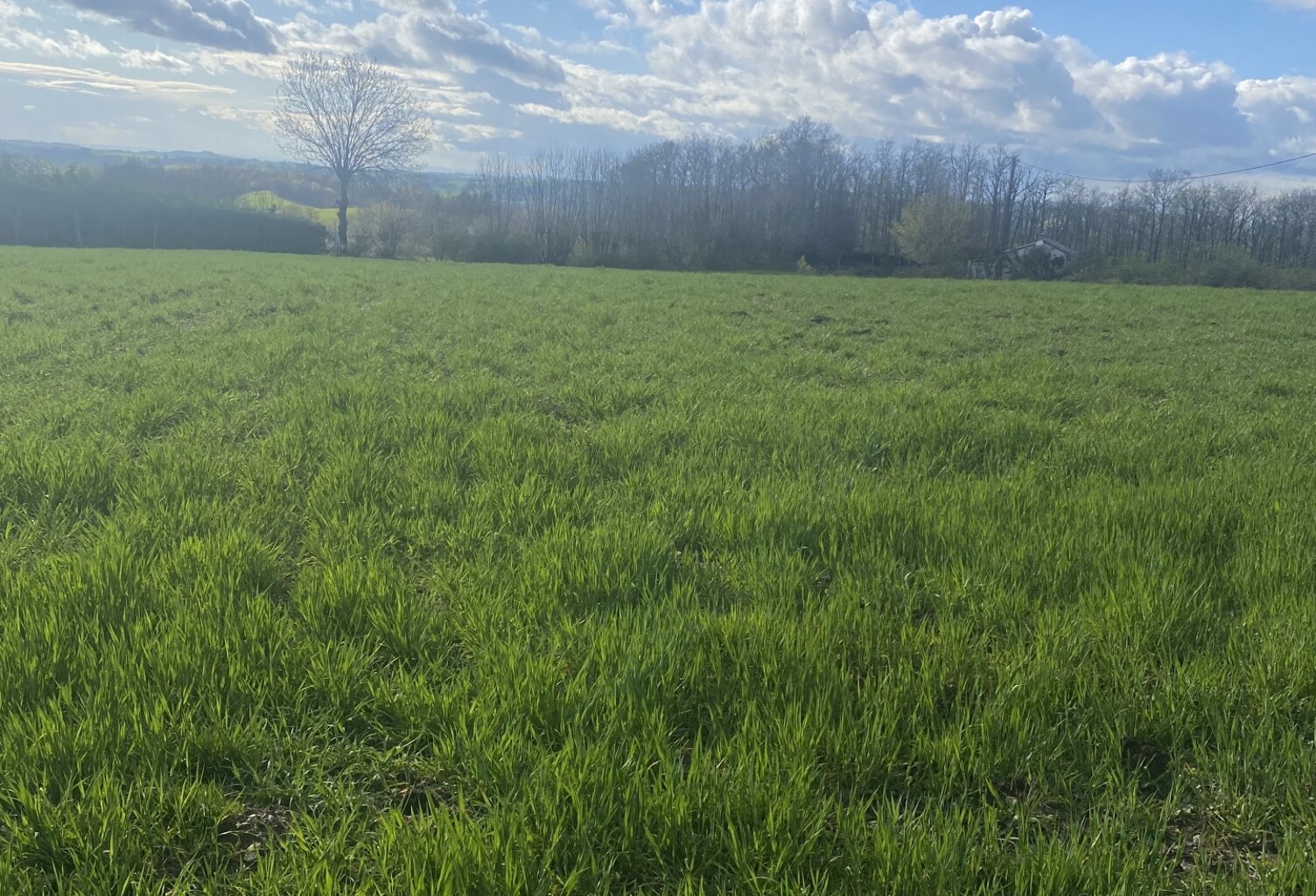 Vente Terrain à bâtir 5 182 m&sup2; — photo 1