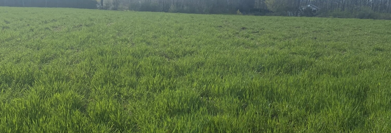 Terrain  5182 m² à vendre à Saint-Salvi-de-Carcavès (81530)