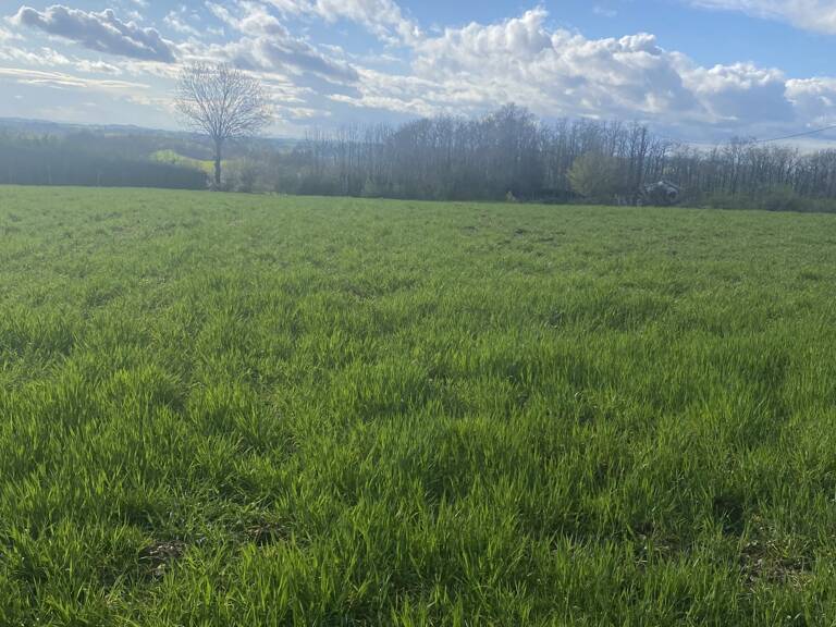 Vente Terrain à bâtir 5 182 m&sup2; — photo 1