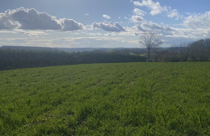 Vente Terrain à bâtir 5 182 m&sup2; — photo 2