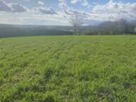 Vente Terrain à bâtir 5 182 m&sup2; — photo 3