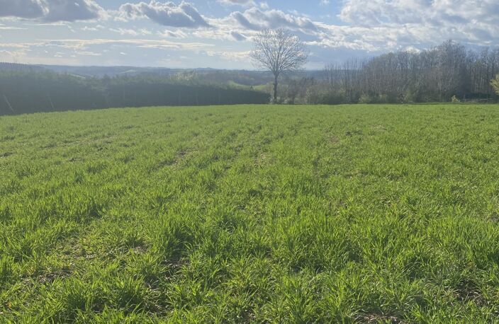 Vente Terrain à bâtir 5 182 m&sup2; — photo 3
