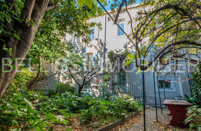 Maison de ville d'époque 1900 avec ravissant jardin arboré — photo 2