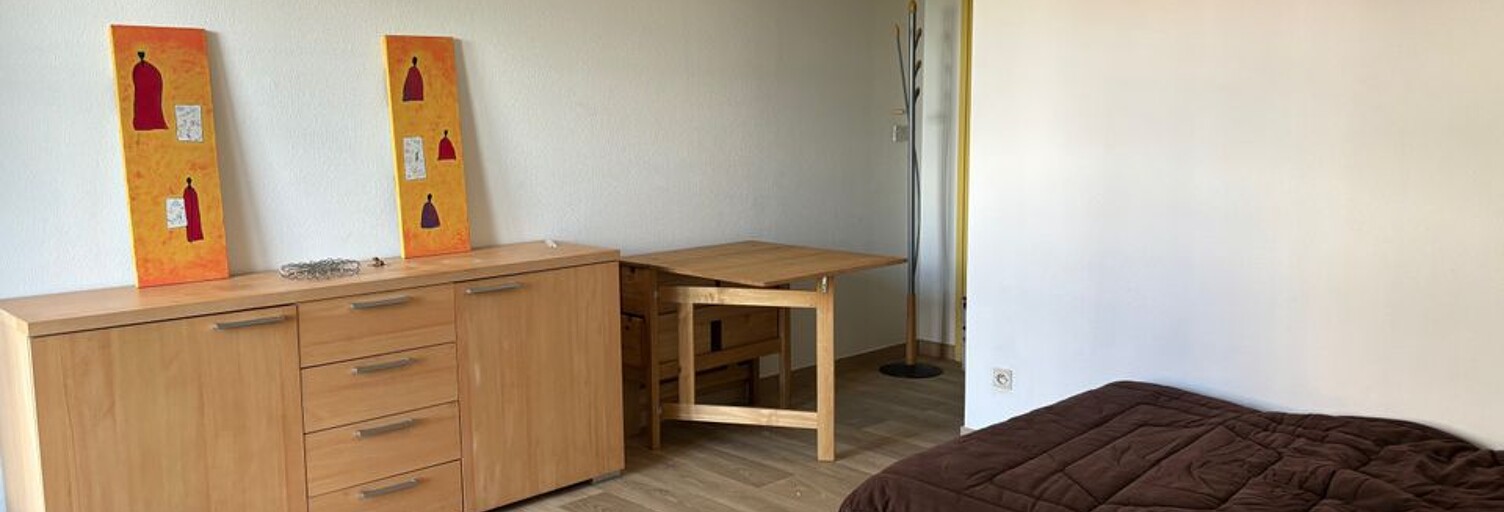 Appartement 1 Pièce 26 m² à louer à Mulhouse (68100)