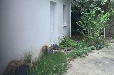 Appartement 1 pièces 600 €
