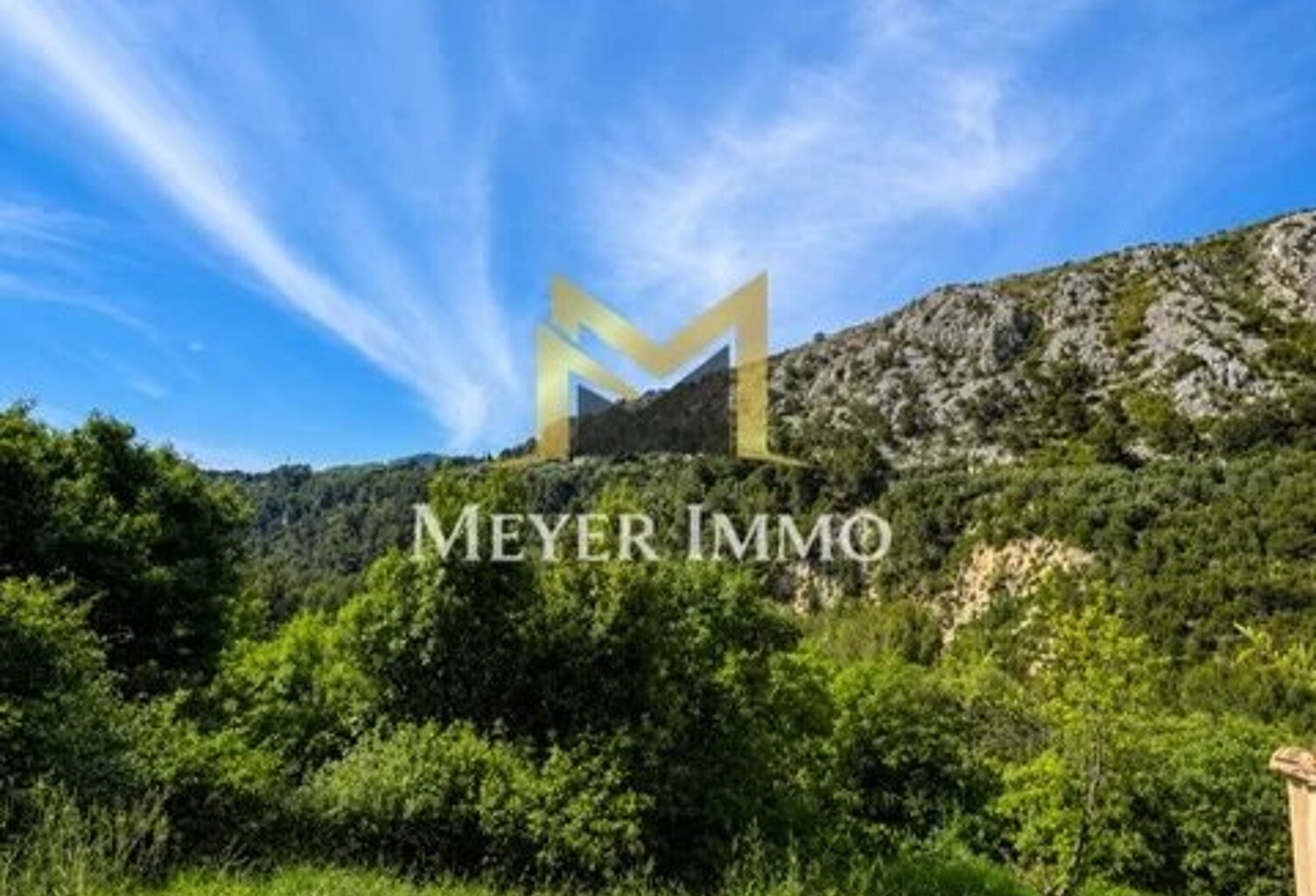 PROPRIÉTÉ D’EXCEPTION À LA TRINITÉ — DEUX VILLAS – STUDIO INDÉPENDANT – PISCINE – TERRAIN ARBORÉ DE 7 000 M² — photo 1
