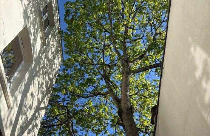 Triplex — photo 3