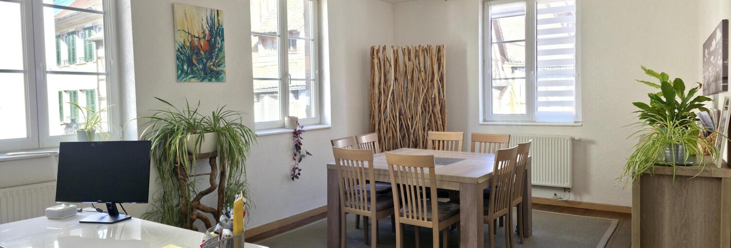 Appartement 5 Pièces 166 m² à vendre à Barr (67140)