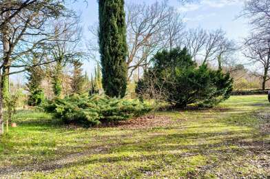 Terrain  598000 €