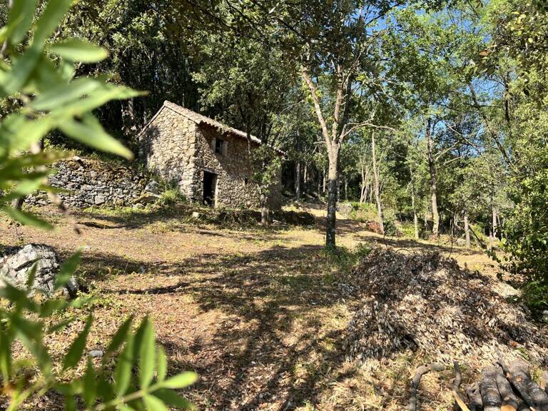 Terrain non-constructible avec remise — photo 1
