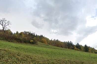 Terrain  6000 €