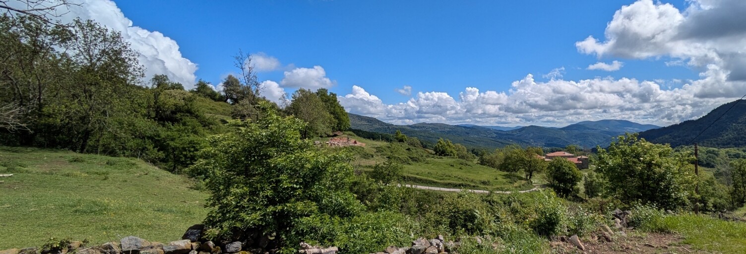 Photo N° 2