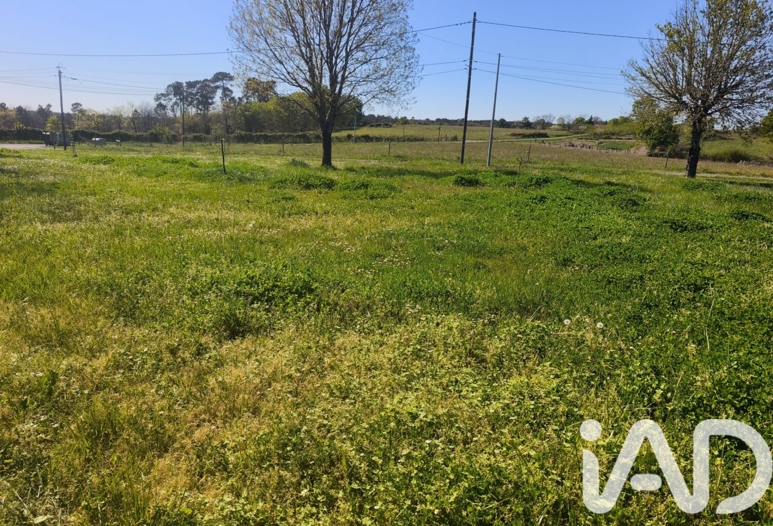 Vente Terrain à bâtir 1 237 m&sup2; — photo 1