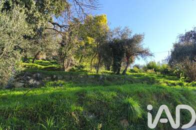 Terrain  159000 €