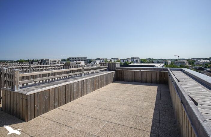 Appartement de 3 pièces principales — photo 3