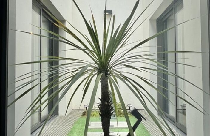 Vente Appartement 5 pièces — photo 5