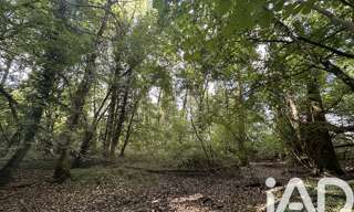 Terrain  11070 m² à vendre à Massay (18120)