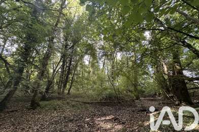 Terrain  29000 €