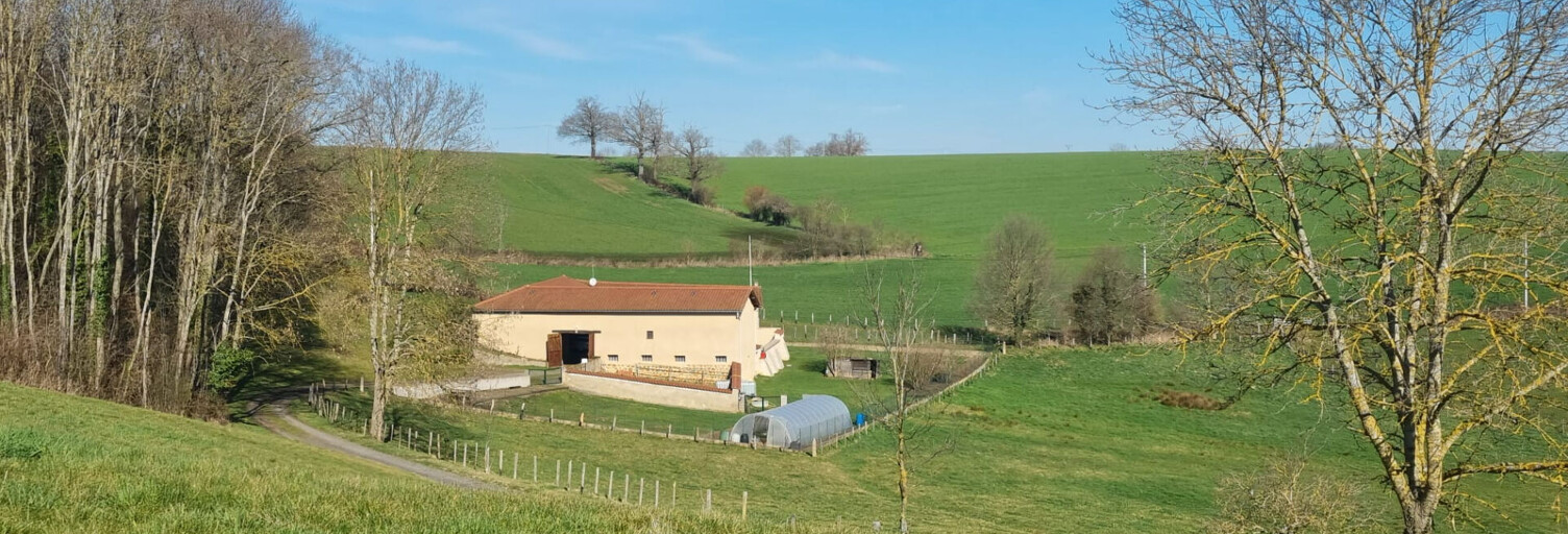 Maison 4 Pièces 110 m² à vendre à Meys (69610)