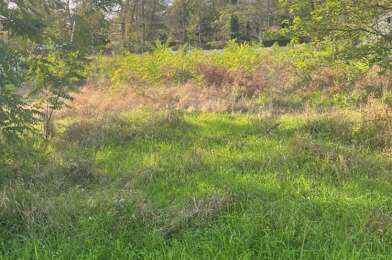 Terrain  115000 €