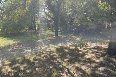Terrain  186000 €