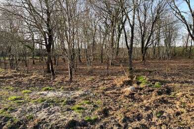 Terrain  223000 €