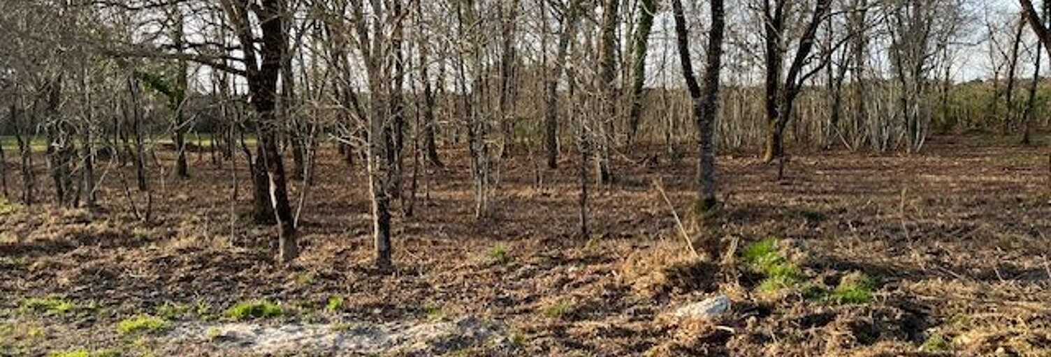 Terrain 600 m² à construire Audenge (33980)