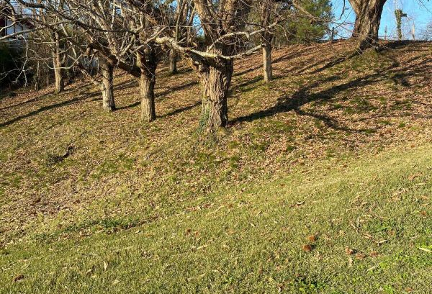 Terrain À Vendre — photo 1