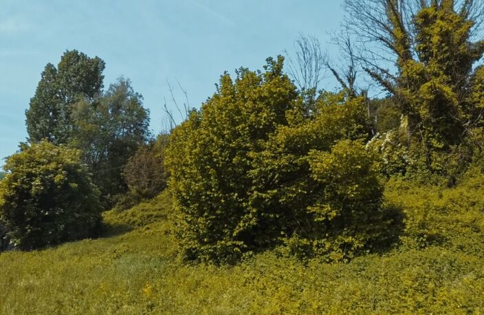 Terrain à battir -  ORIOL EN ROYANS (26) — photo 5