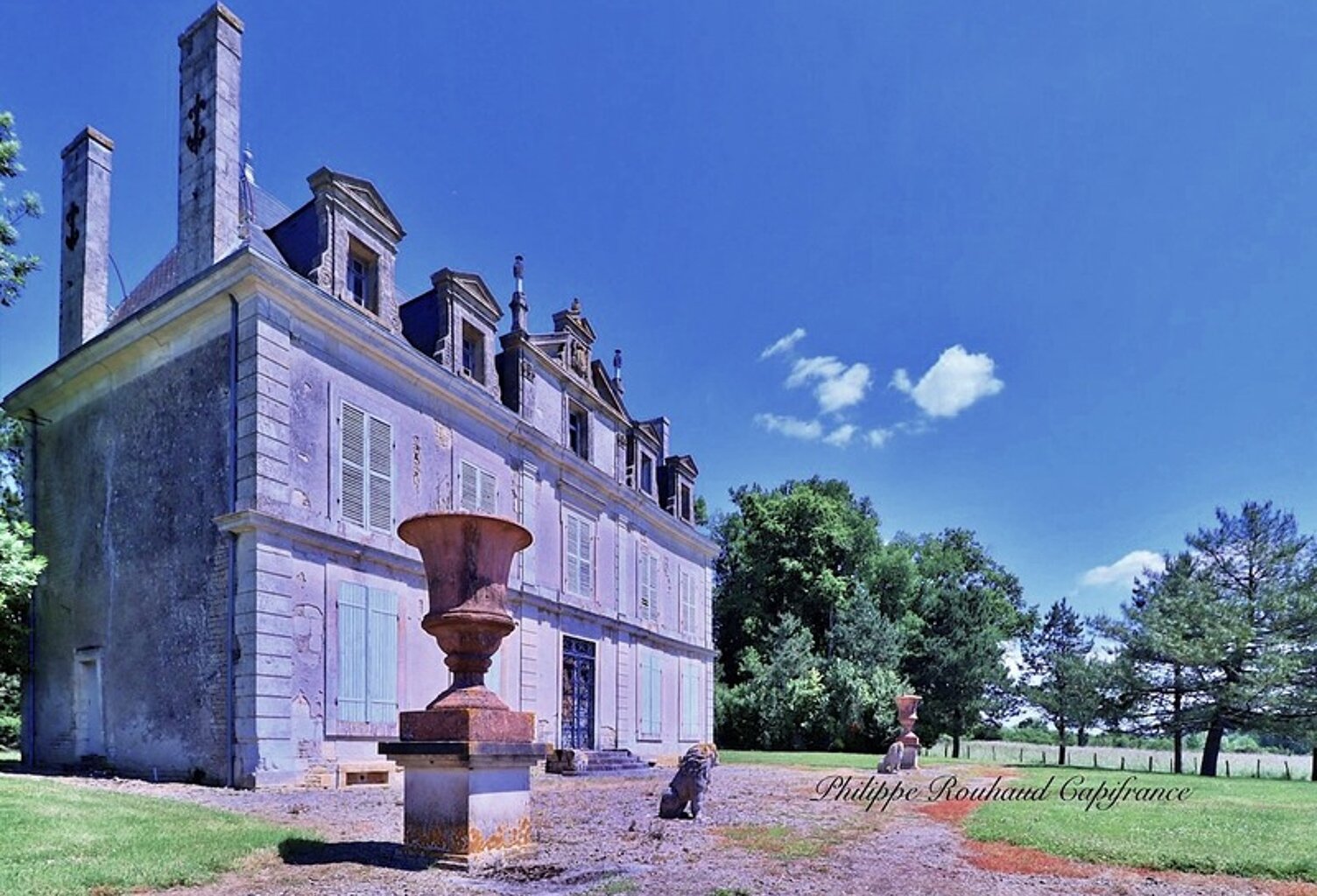 Château du XVIIᵉ siècle à vendre, 17 pièces, FOUSSAIS PAYRE (85) — photo 1