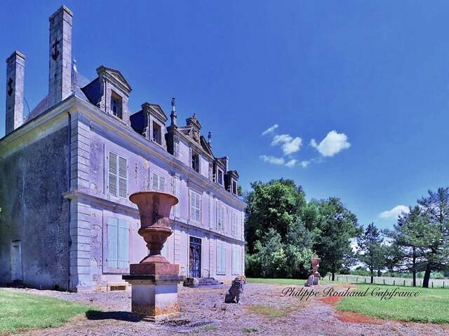 Château du XVIIᵉ siècle à vendre, 17 pièces, FOUSSAIS PAYRE (85) — photo du bien
